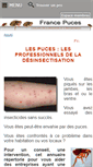 Mobile Screenshot of france-puces.com